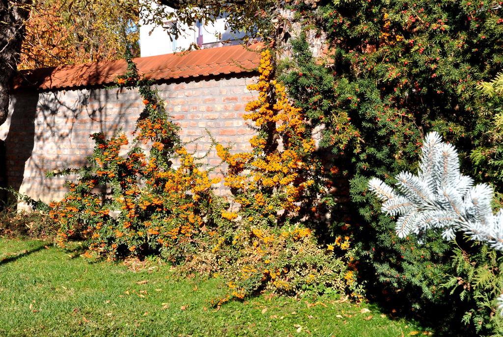 Ametiszt Hotel Harkány Exterior foto